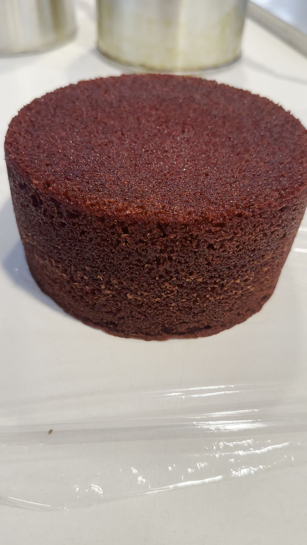 Thumbnail: 6" Wholesale Sponges