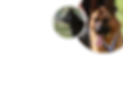 0326586665.png