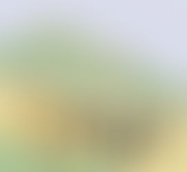 Google riparte in Cina