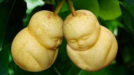 Forme strane per la frutta: una nuova mania in Cina