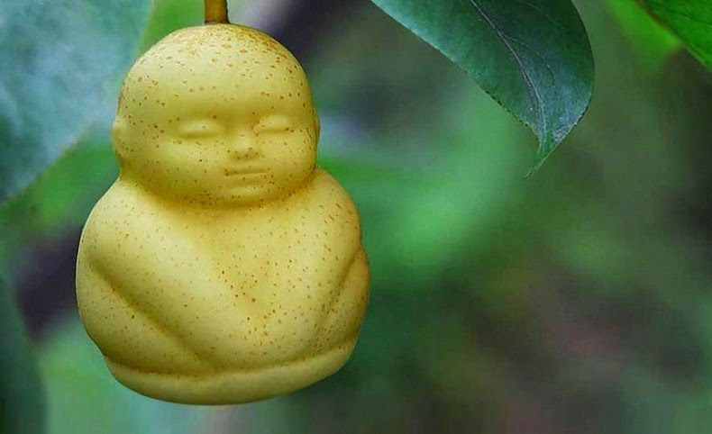Pera a forma di Buddha.jpg