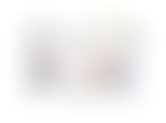 Una Megalapoli da 110milioni di abitanti