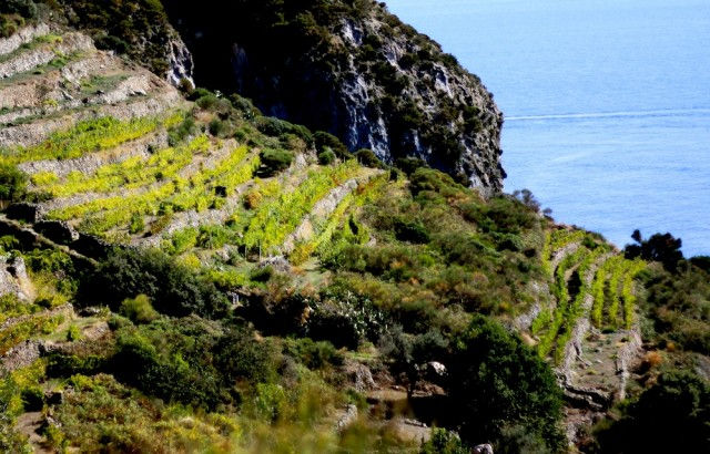 Isola di Ponza - Lazio.jpg