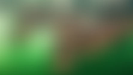 I 120 porti container del mondo