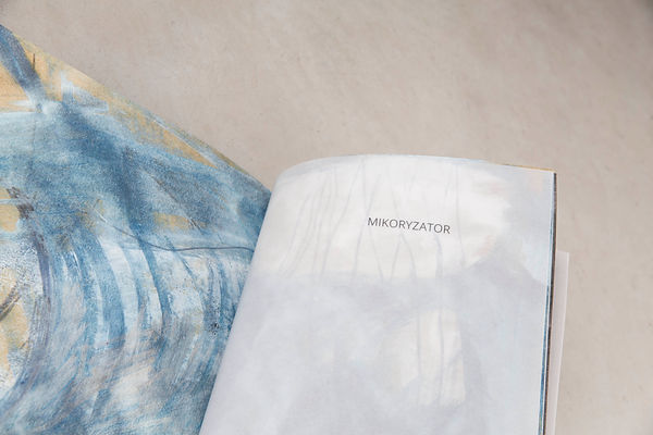 Mikoryzator - book for children