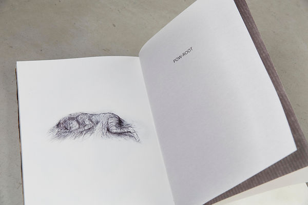 Mikoryzator - book for children