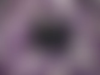 Zoomer vers l'Infini avec le KODAK Pixpro AZ405