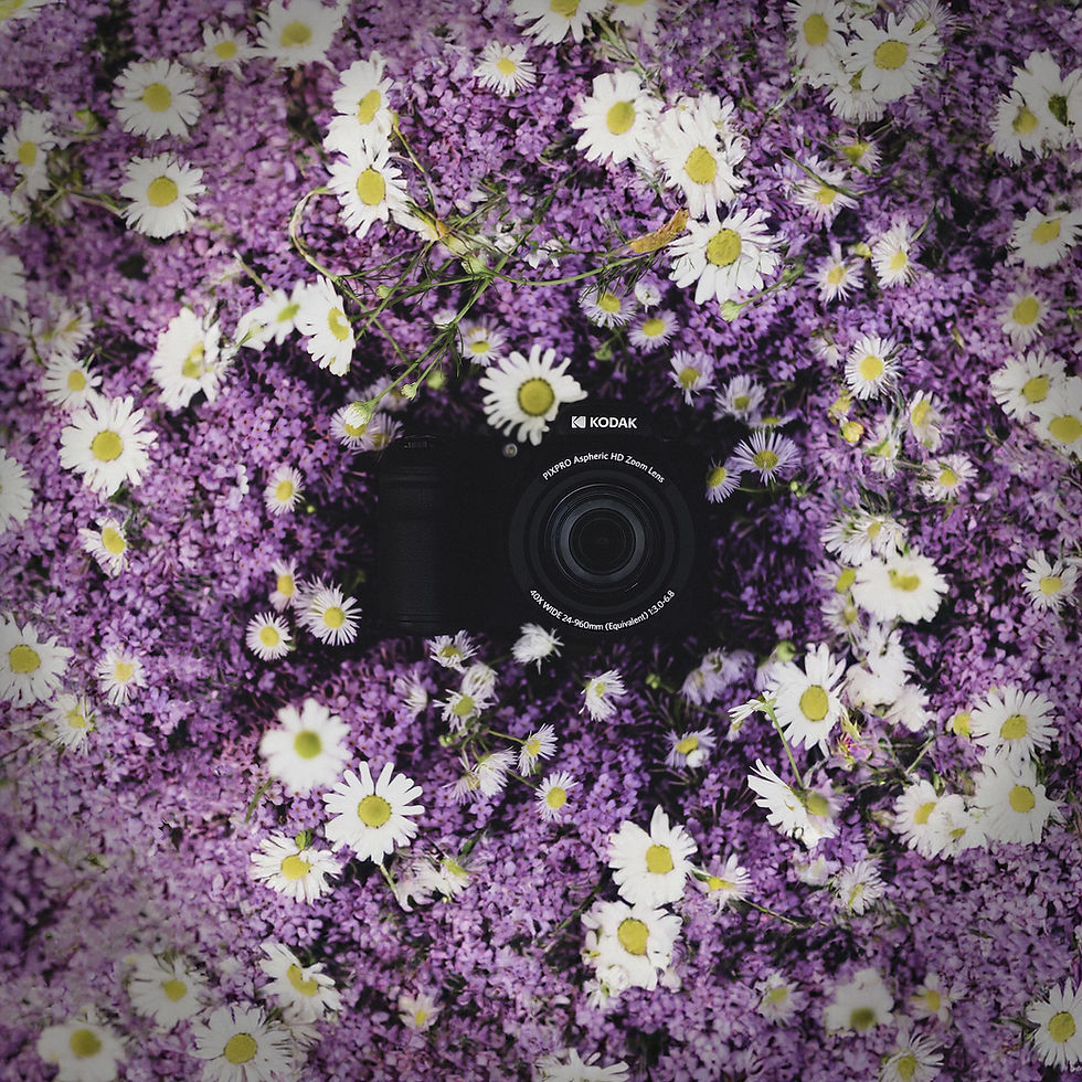 Zoomer vers l'Infini avec le KODAK Pixpro AZ405