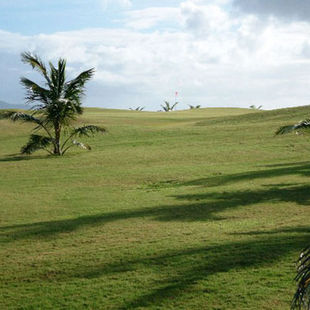 SMALL IS THE NEW BIG THING!!!