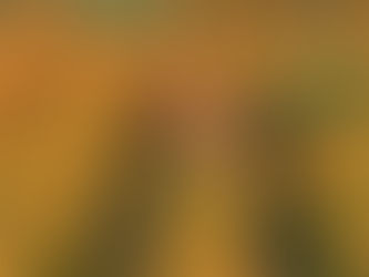 Quando a relação com o abusador vai além do abuso