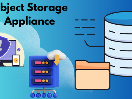 Maximizing Bare-Metal Efficiency: The Architecture of Ultra-Dense Data Environments