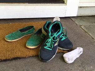 Foot & Shoe Disinfectant