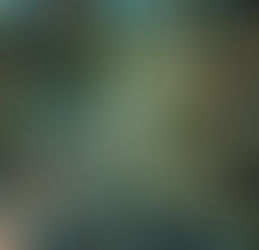 Three Eco-Impactful Solutions for 2025!