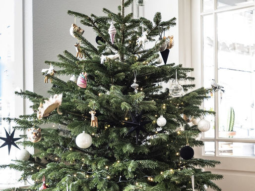 To Tree or Not to Tree