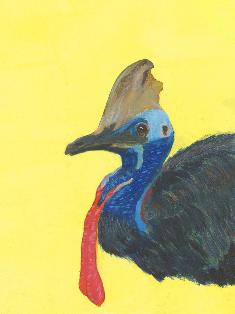 Cassowary