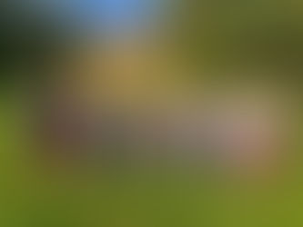 Orientēšanās "Iepazīsti Kandavu"