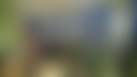 Tikšanās ar Saeimas Izglītības, kultūras un zinātnes komisijas ​deputātiem