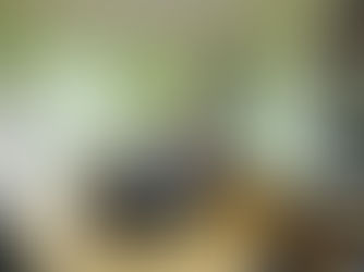 Galda spēļu vakars