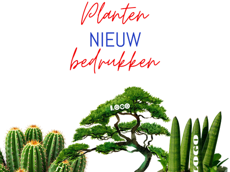 Nieuw bij SDM Solutions