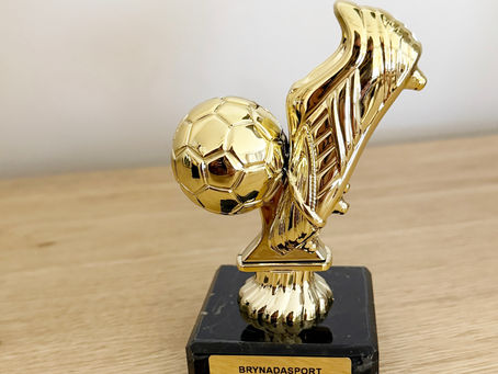 🏆 Bekers voor Brynadasport