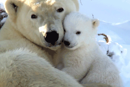 b6d5346239e4e6a991bf56fe835730a4.gif