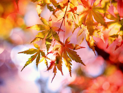 Fall Is Upon Us!