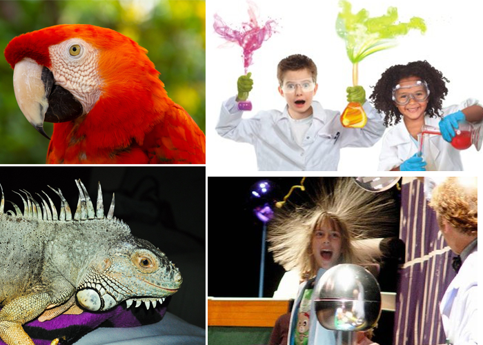 Animal and Science Shows