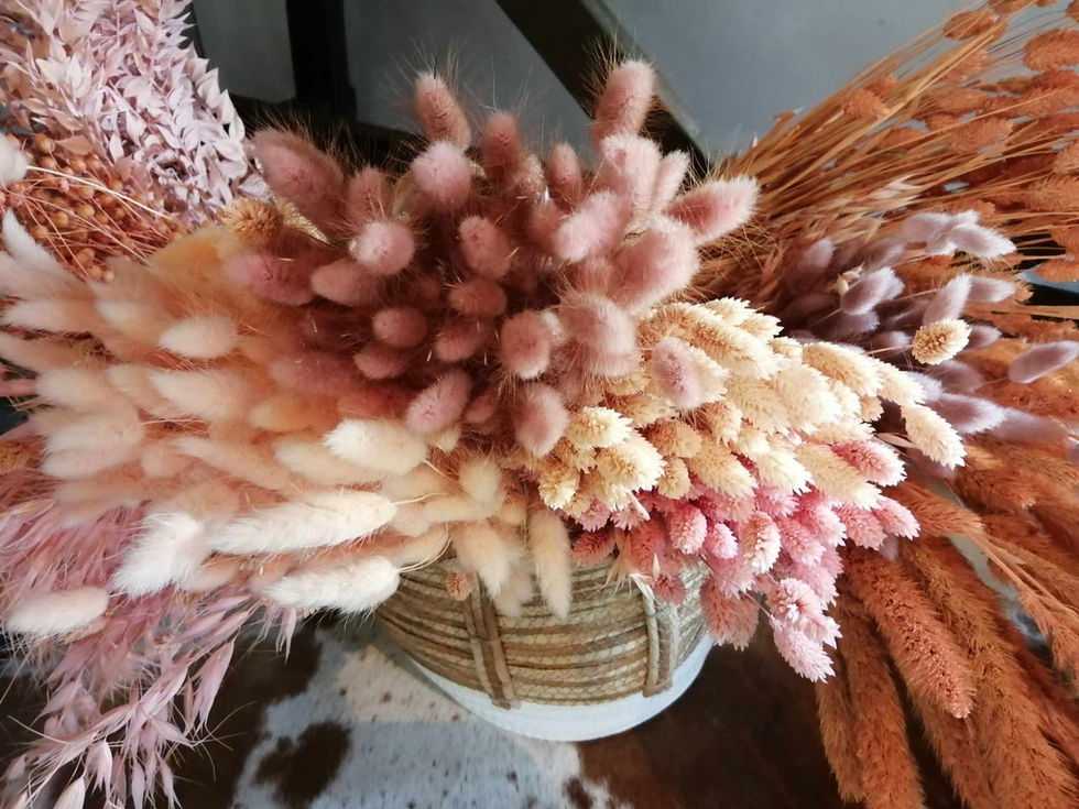 475023728_2294051417647307_4386293025265014784_n