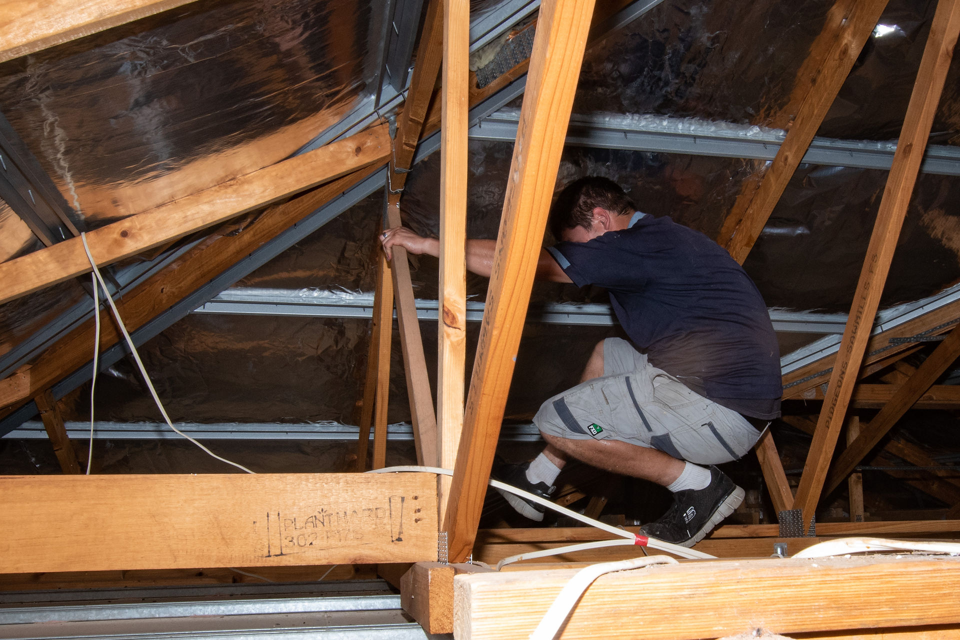 Termite Protection Services Morayfield