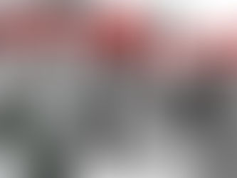 Una voz que no se calla en el silencio