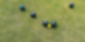 bowls_edited.jpg