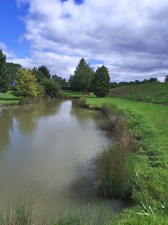 20200830_113901_edited.jpg