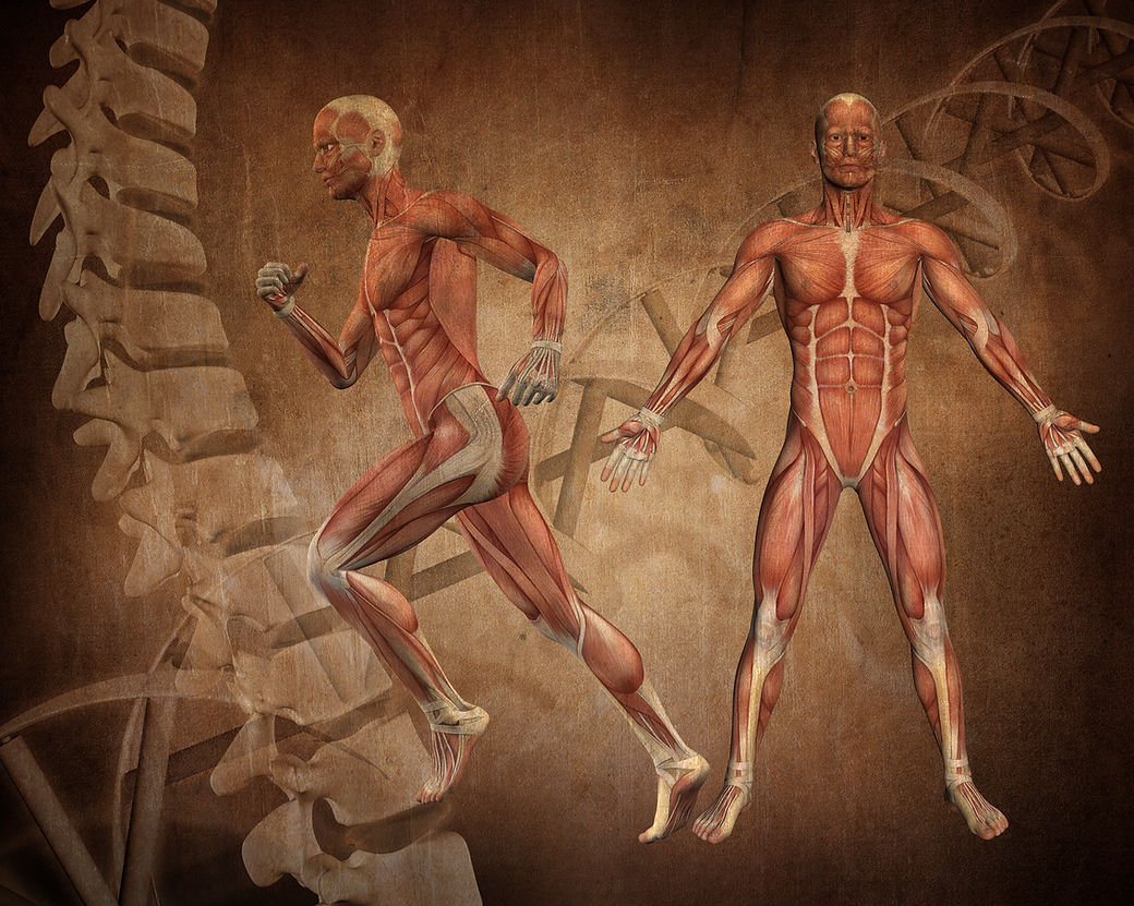 grunge-style-medical-figure-background.jpg