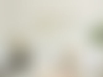 The Designer's Guide to White Paint