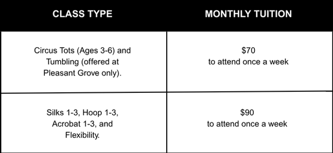 Aerobatics Tuition Pricing Image.png