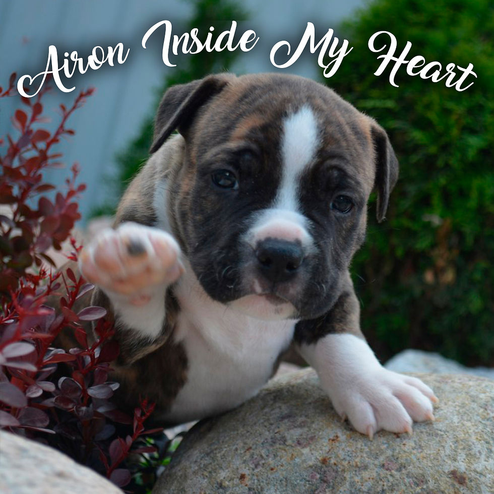 Airon Inside My Heart