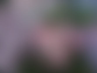 “ Someone’s Story, June 2021”