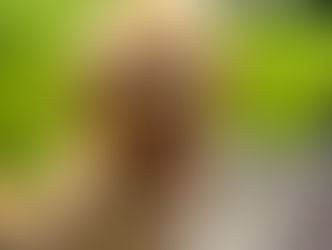 Rio | Golden Doodle | Rolling Hills Estates