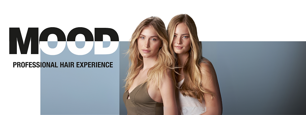 home page (1).png