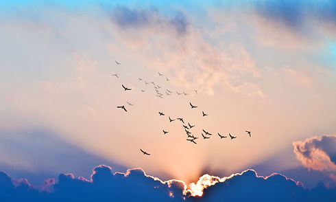 AdobeStock_304970824.jpeg