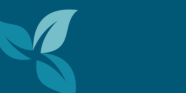 The Health Tree - Blue Banner.jpg