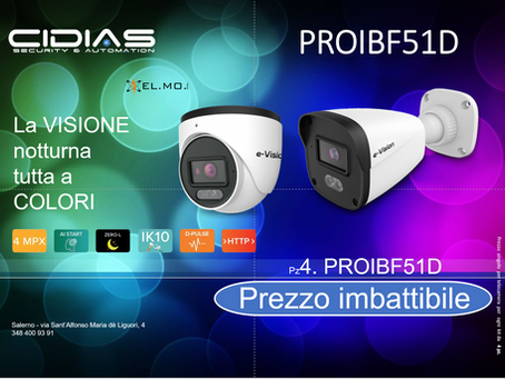 Telecamere notturne: tecnologia ZERO-L