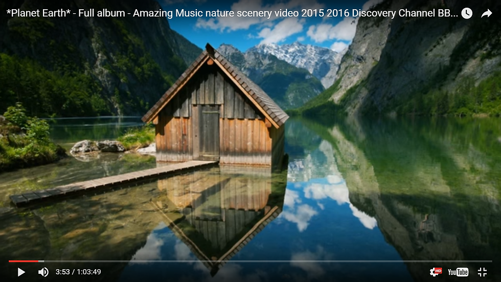 Amazing nature