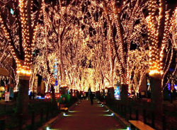 SENDAI 光のページェント