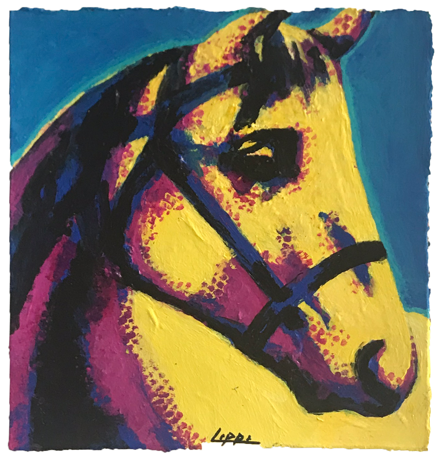 Andy's Horse