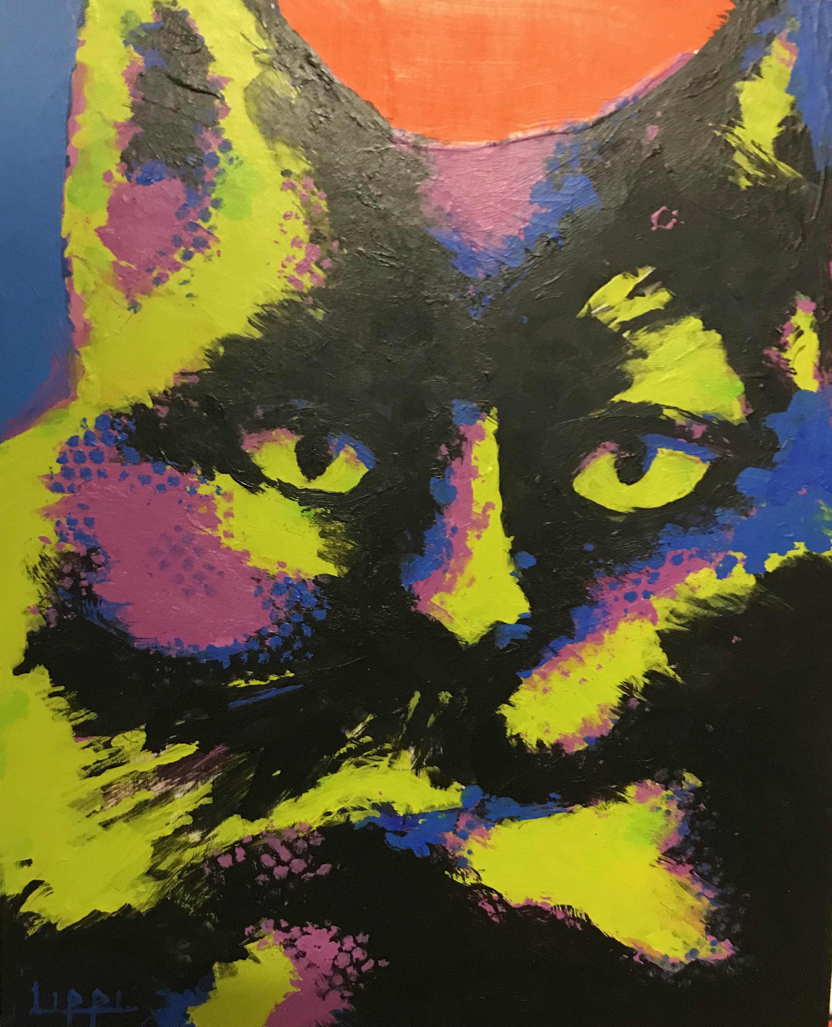 Andy's Cat / GIFTED