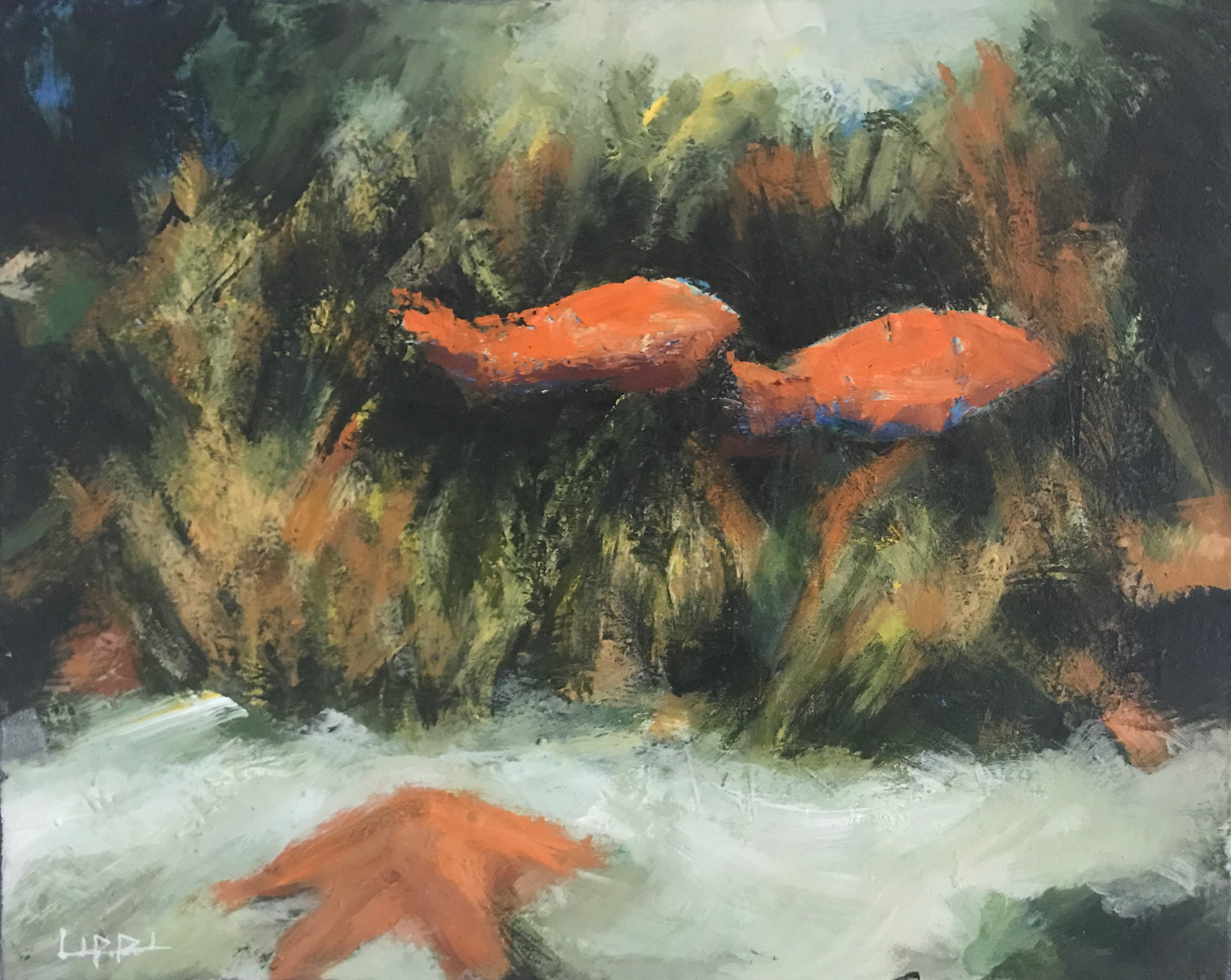 Two Goldfish