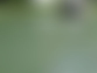 Spring River looks good!