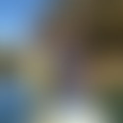 Beautiful on the Spring River