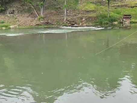 River looks fantastic!